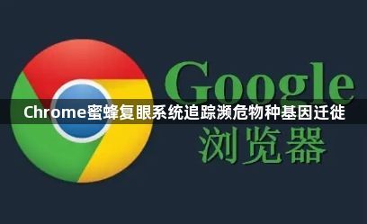 Chrome蜜蜂复眼系统追踪濒危物种基因迁徙1