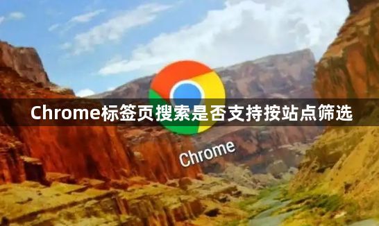 Chrome标签页搜索是否支持按站点筛选1