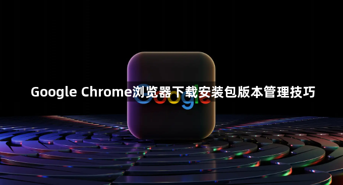 Google Chrome浏览器下载安装包版本管理技巧1