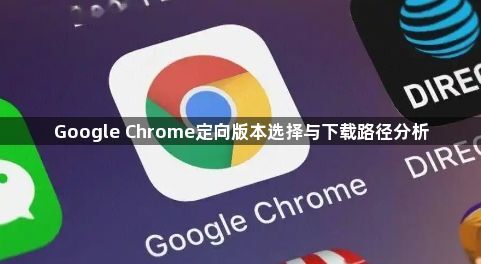 Google Chrome定向版本选择与下载路径分析1