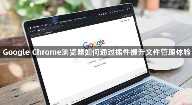 Google Chrome浏览器如何通过插件提升文件管理体验1