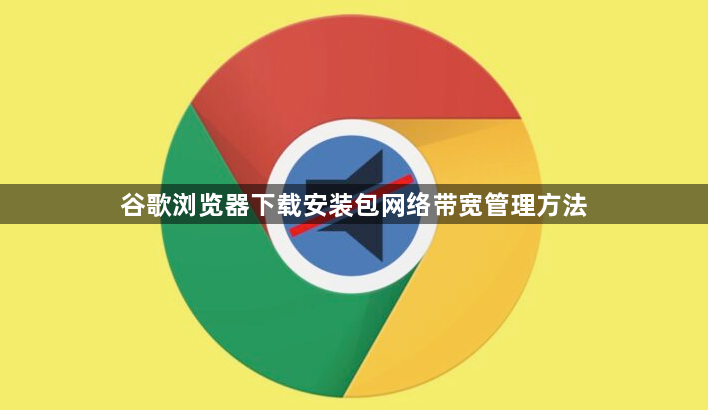 谷歌浏览器下载安装包网络带宽管理方法1