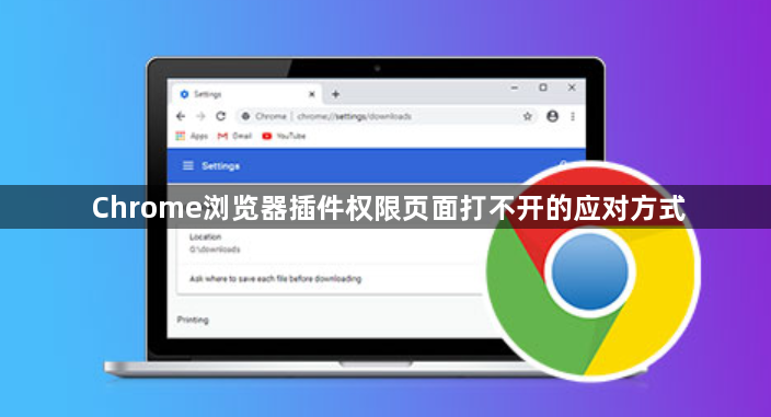 Chrome浏览器插件权限页面打不开的应对方式1