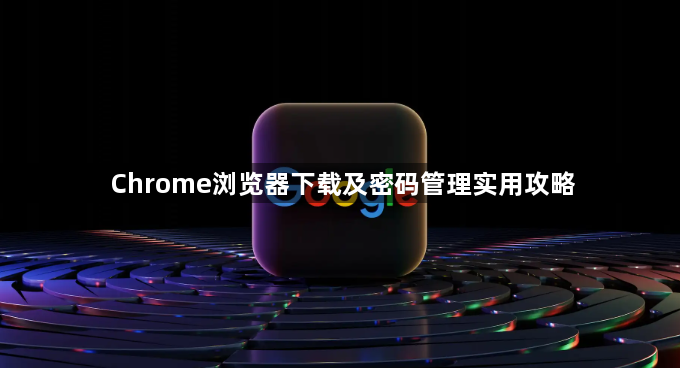 Chrome浏览器下载及密码管理实用攻略1