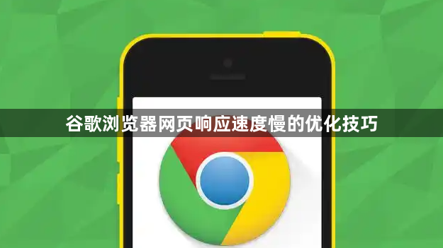谷歌浏览器网页响应速度慢的优化技巧1
