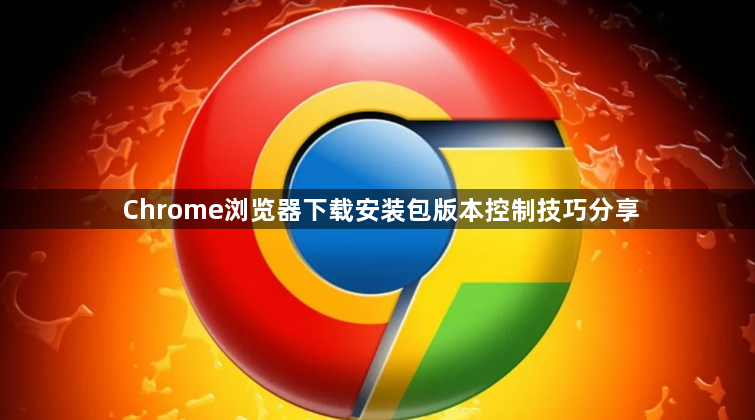 Chrome浏览器下载安装包版本控制技巧分享1