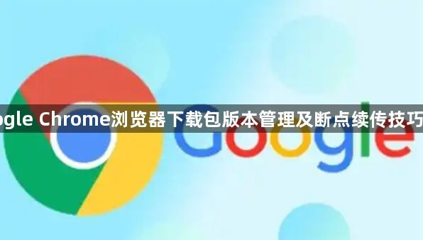 Google Chrome浏览器下载包版本管理及断点续传技巧分享1