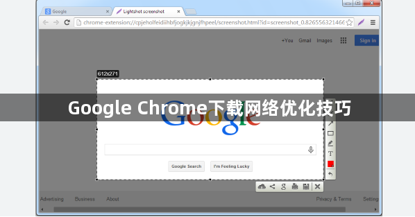 Google Chrome下载网络优化技巧1