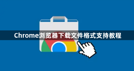 Chrome浏览器下载文件格式支持教程1