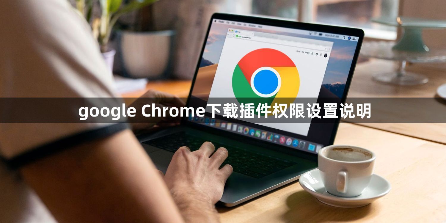 google Chrome下载插件权限设置说明1