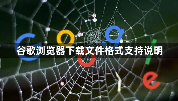谷歌浏览器下载文件格式支持说明1