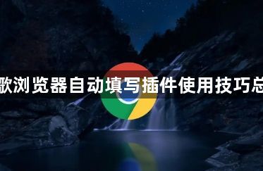 谷歌浏览器自动填写插件使用技巧总结1