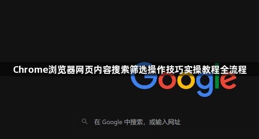 Chrome浏览器网页内容搜索筛选操作技巧实操教程全流程1