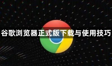 谷歌浏览器正式版下载与使用技巧1