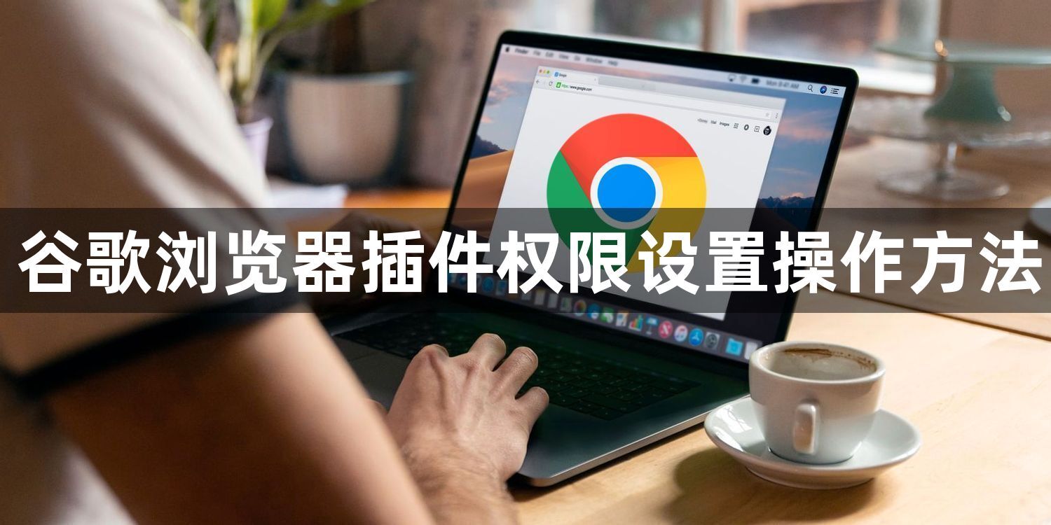 谷歌浏览器插件权限设置操作方法1