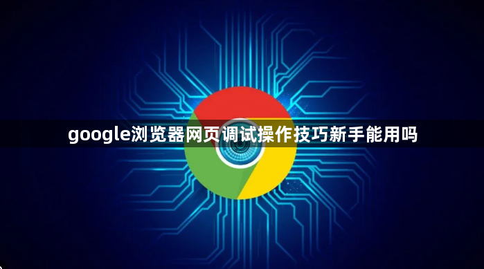 google浏览器网页调试操作技巧新手能用吗1