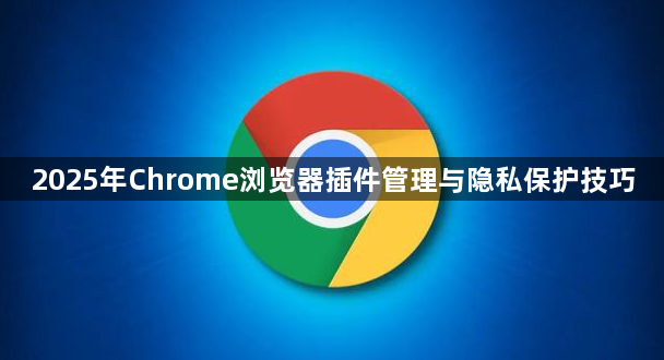 2025年Chrome浏览器插件管理与隐私保护技巧1