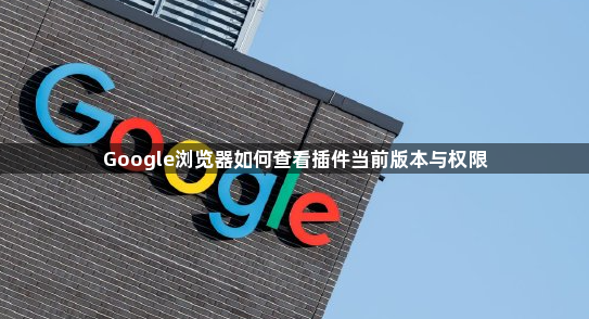 Google浏览器如何查看插件当前版本与权限1