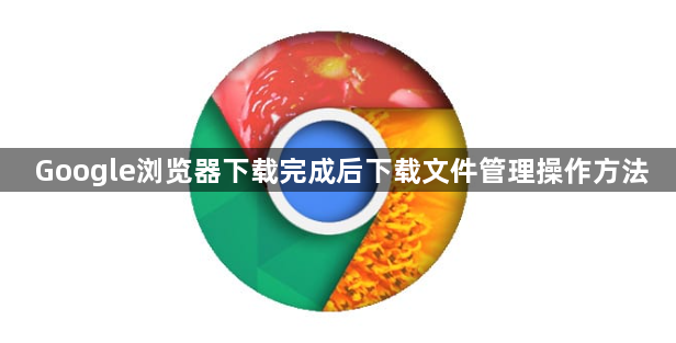 Google浏览器下载完成后下载文件管理操作方法1